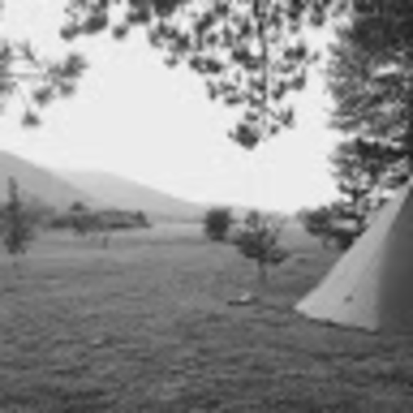 Meet your Posher, Lauren - Picture 1 of 1